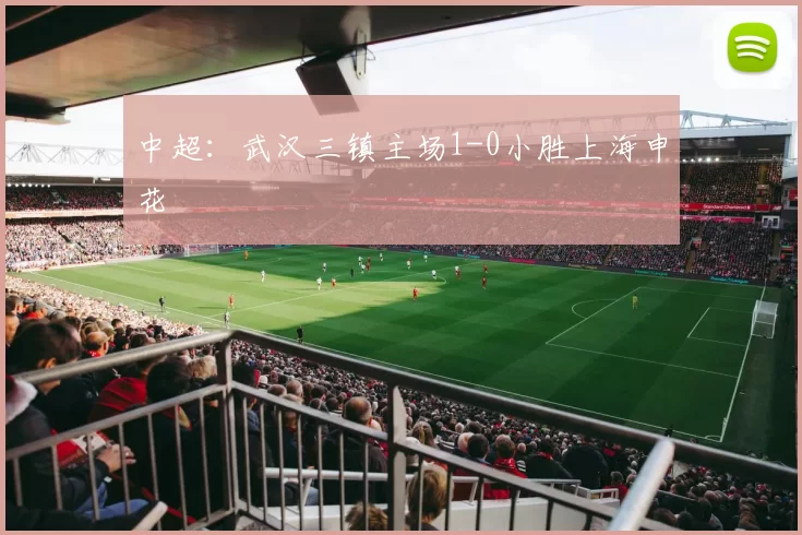 中超：武汉三镇主场1-0小胜上海申花