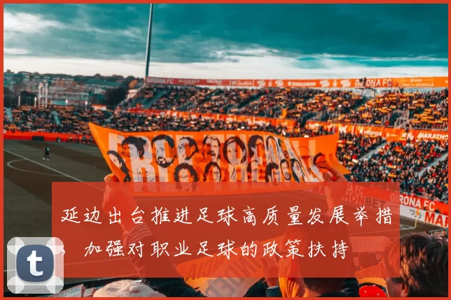 延边出台推进足球高质量发展举措，加强对职业足球的政策扶持