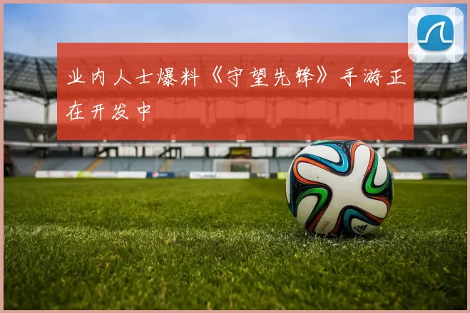 业内人士爆料《守望先锋》手游正在开发中