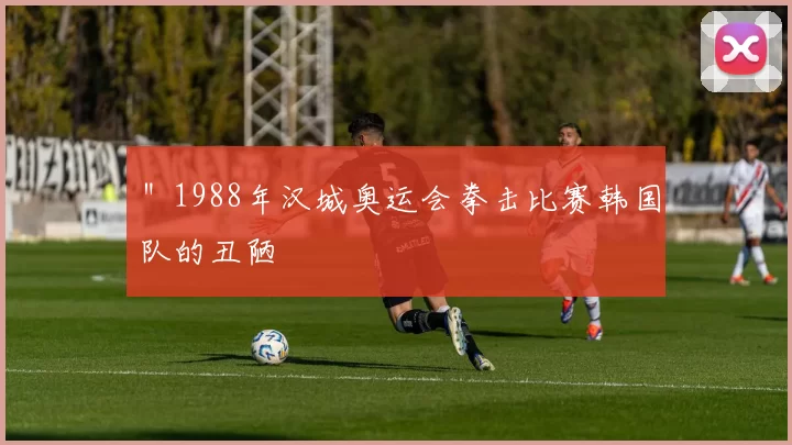 ＂1988年汉城奥运会拳击比赛韩国队的丑陋