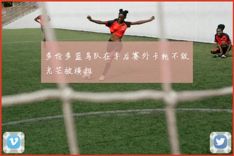 多伦多蓝鸟队在季后赛外卡轮不敌光芒被横扫