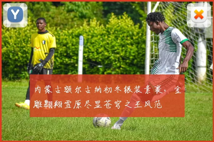 内蒙古额尔古纳初冬银装素裹，金雕翱翔雪原尽显苍穹之王风范