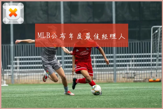 MLB公布年度最佳经理人