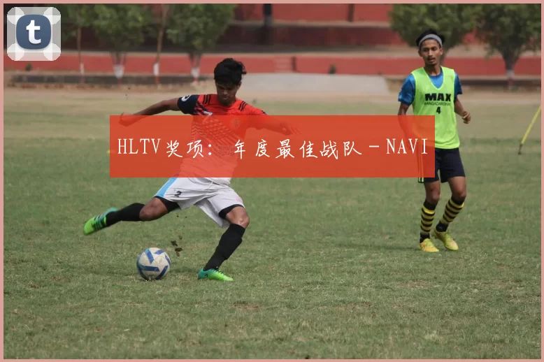 HLTV奖项：年度最佳战队 - NAVI