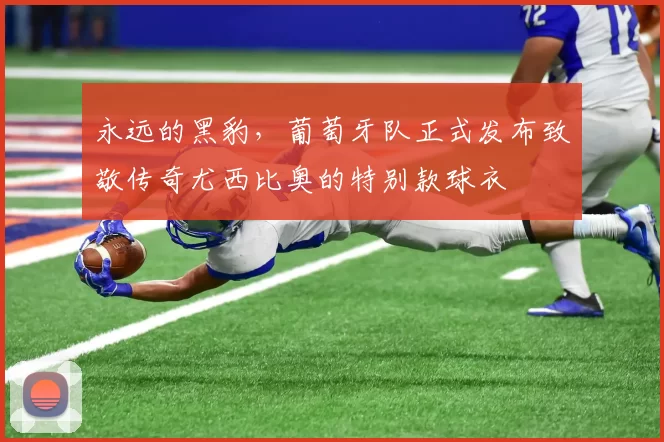 永远的黑豹，葡萄牙队正式发布致敬传奇尤西比奥的特别款球衣