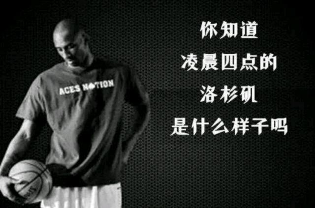 复仇者的对 复仇者的对